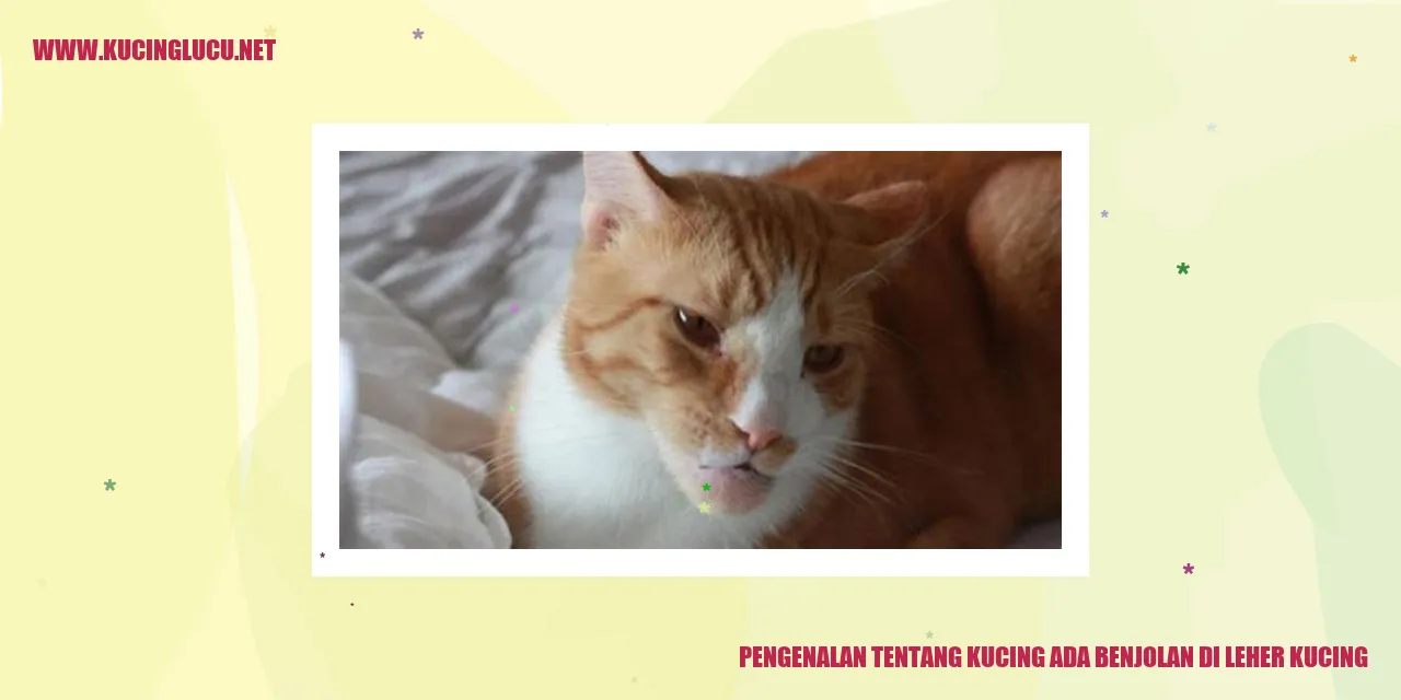 foto kucing dengan benjolan di leher