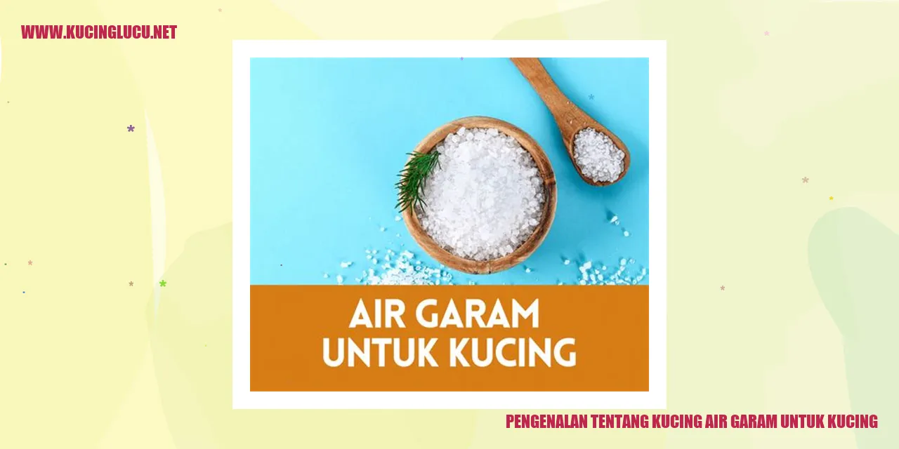 Gambar kucing air garam