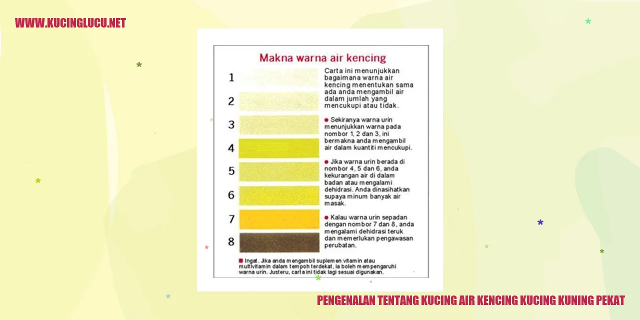 Gambar kucing air kencing kuning pekat