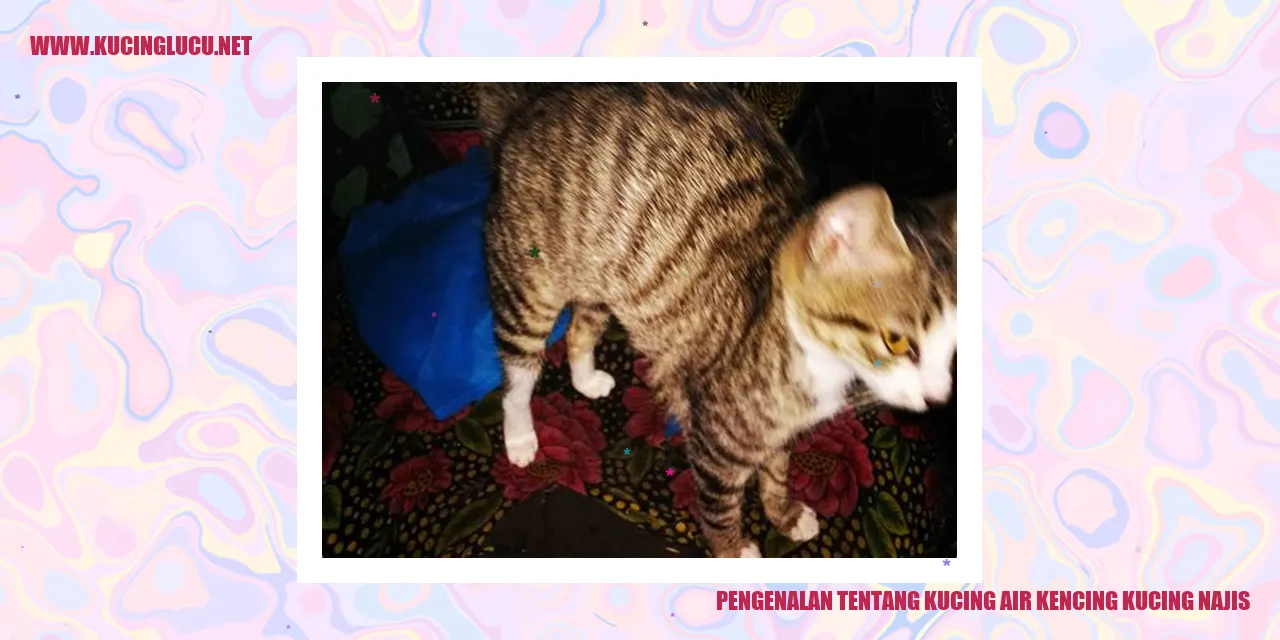 Ilustrasi seekor kucing
