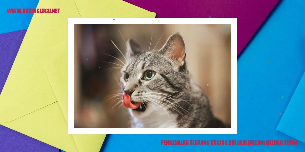 Kucing air liur