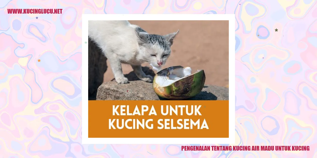 Kucing air madu