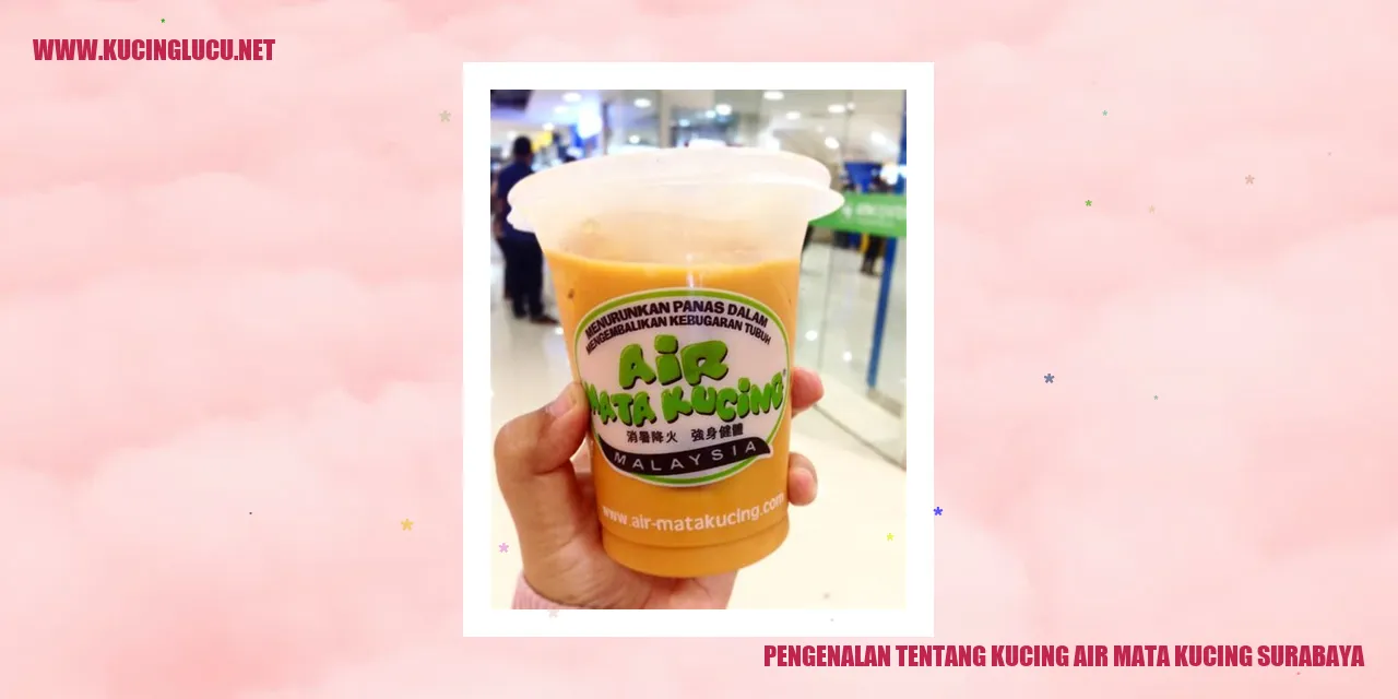 Kucing Air Mata Kucing Surabaya
