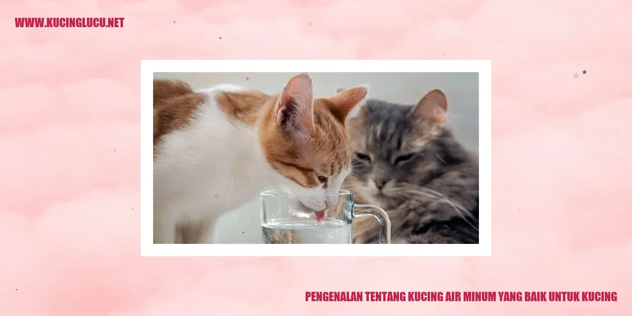 Gambar Kucing Menyendiri