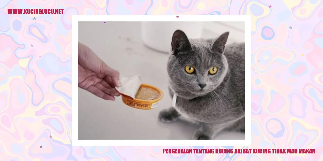 Gambar Kucing yang Malas Makan