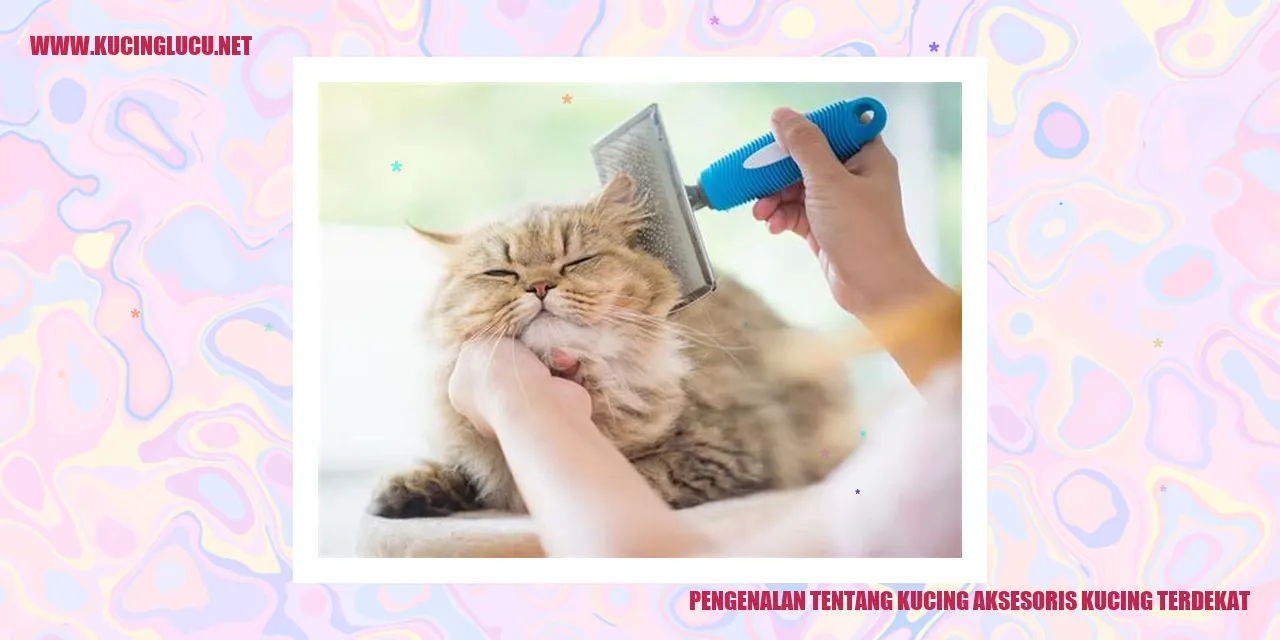 Gambar Kucing Menggemaskan