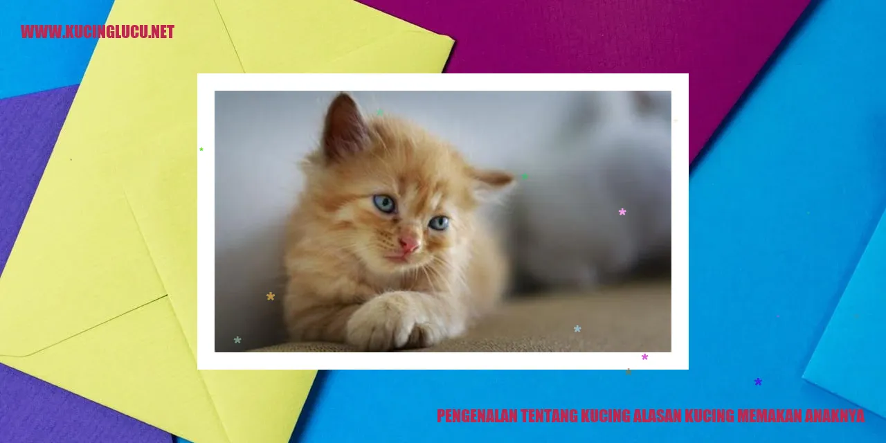 Kucing dan Anaknya