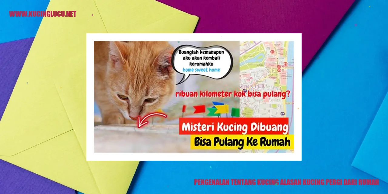 Gambar Kucing