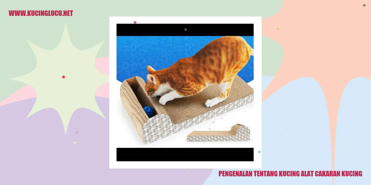 Kucing dan Tangan Tajamnya