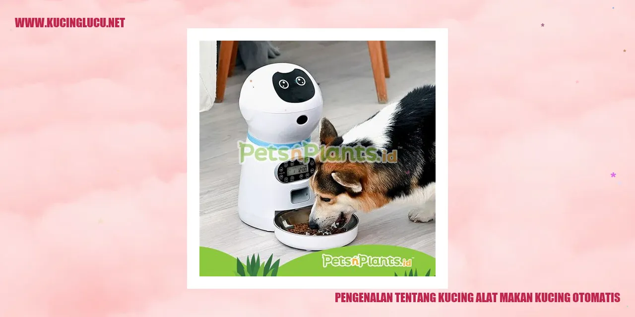 Kucing otomatis yang membantu memberikan makanan kucing