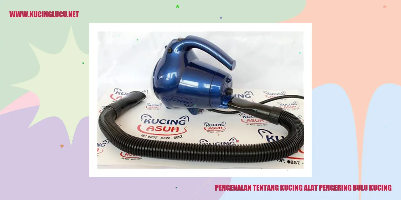 Kucing alat pengering bulu kucing