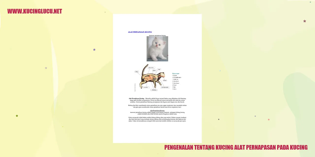 Gambar kucing menghirup udara dengan hidungnya.