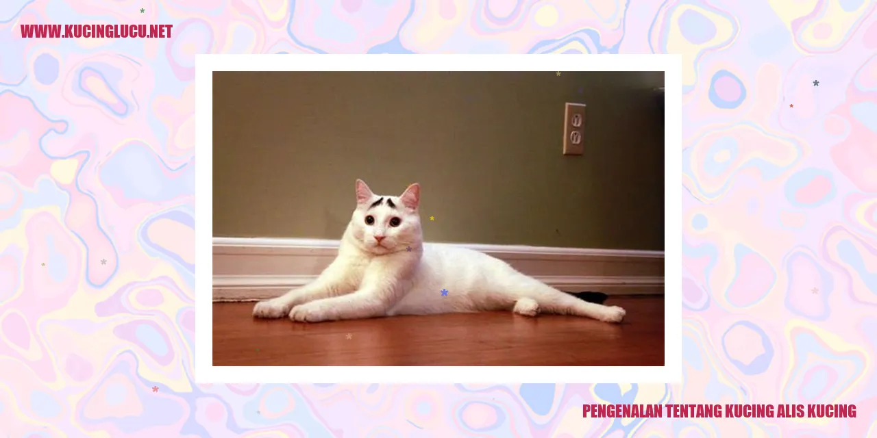 Kucing Alis Kucing