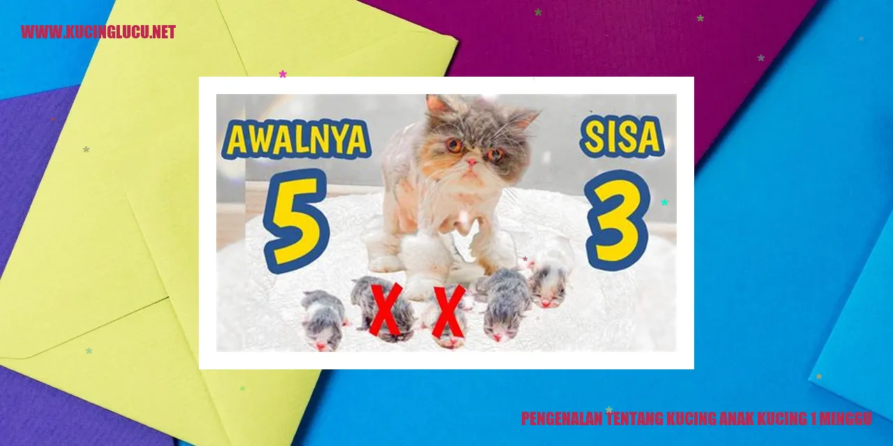 Kucing Anak Kucing