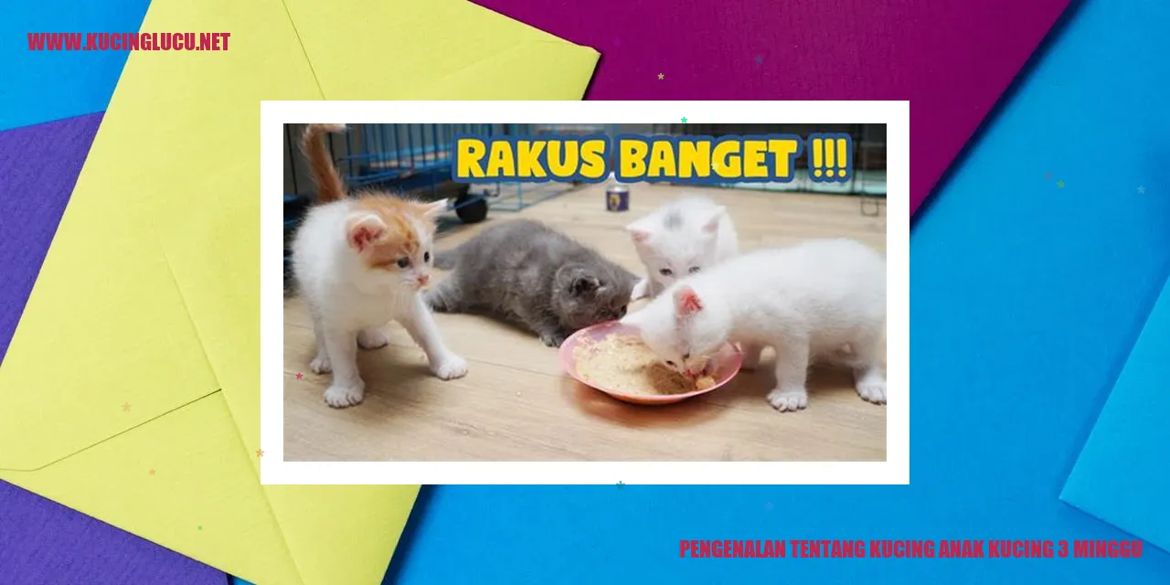 Kucing Anak Kucing