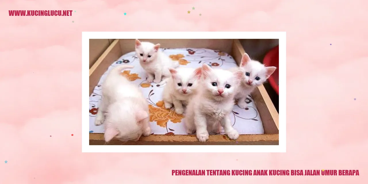 Gambar anak kucing yang sedang berjalan