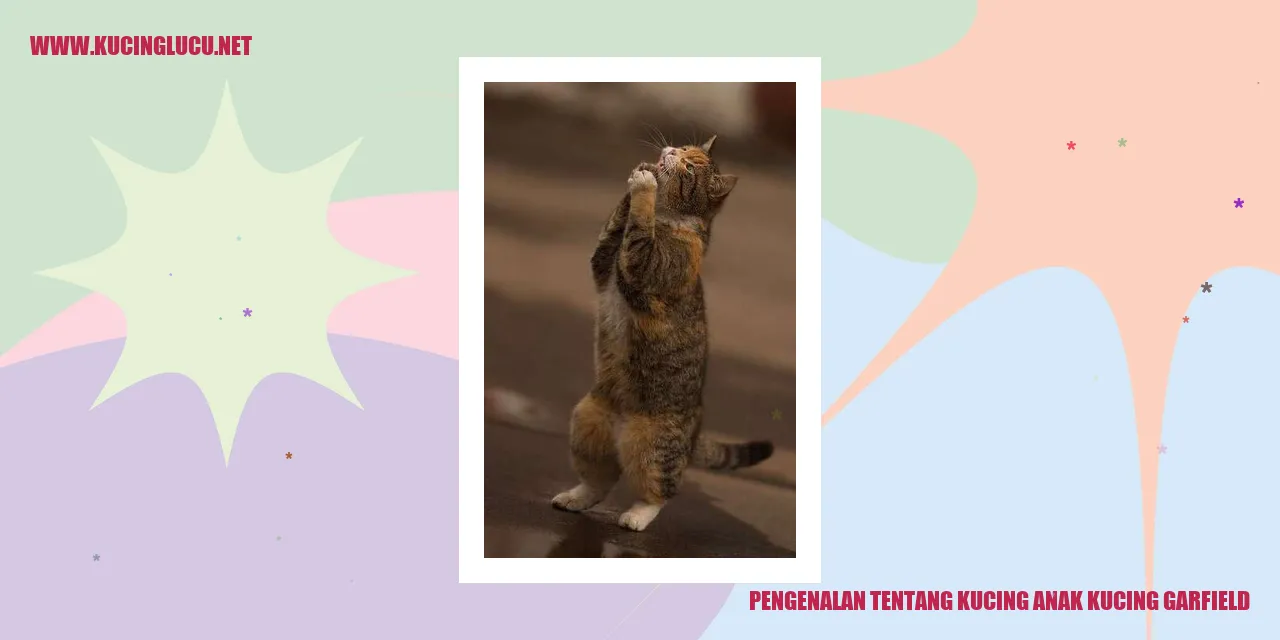 Kucing Garfield