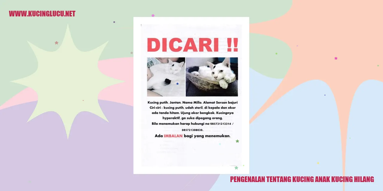 Kucing