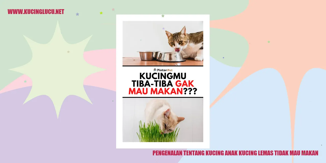 Ilustrasi Kucing