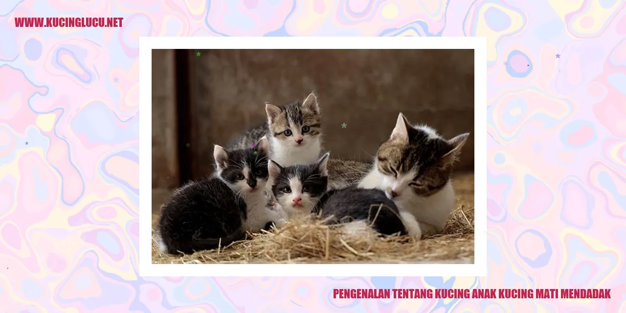 Potret Menggemaskan Seekor Kucing
