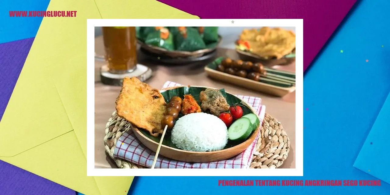 Kucing Angkringan Sego Kucing