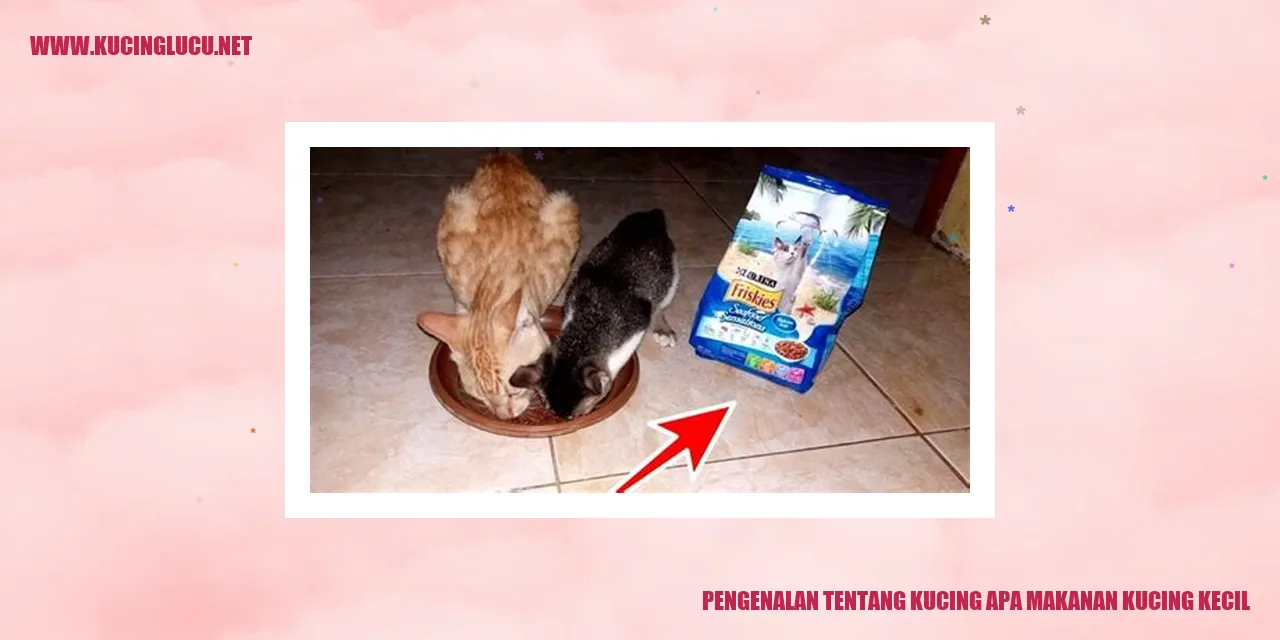 Gambar Kucing yang Menggemaskan