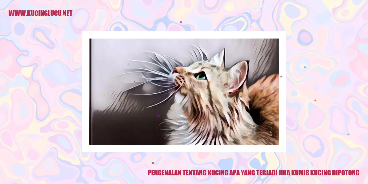 gambar kucing