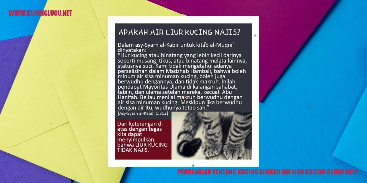 Kucing menjilat diri
