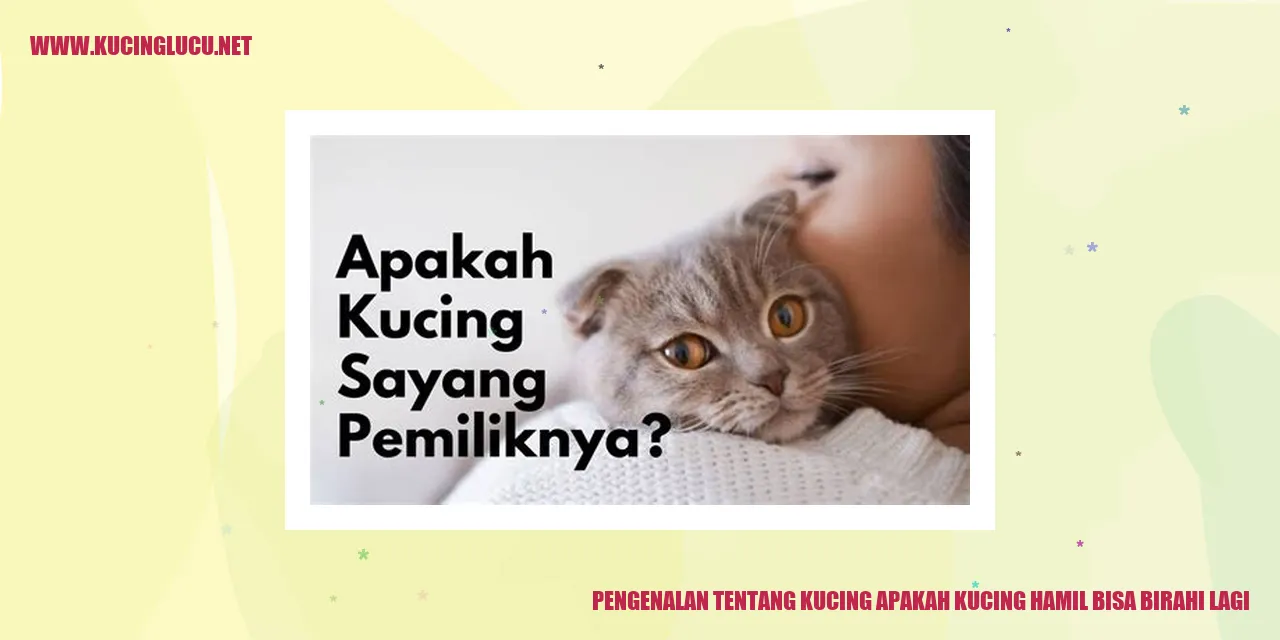 Gambar Menggemaskan Kucing