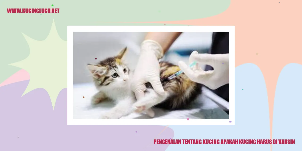 Gambar Kucing