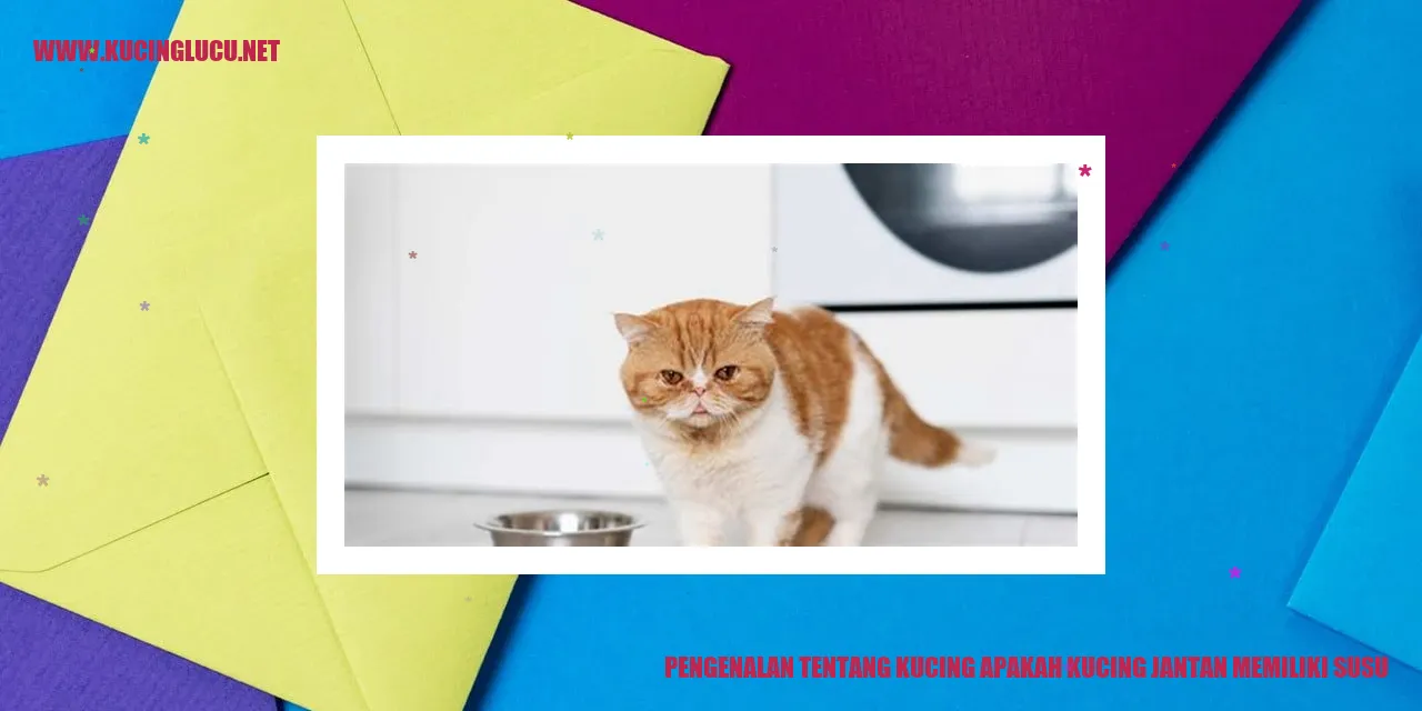 Gambar kucing