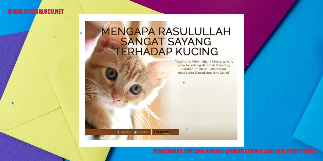 Kucing