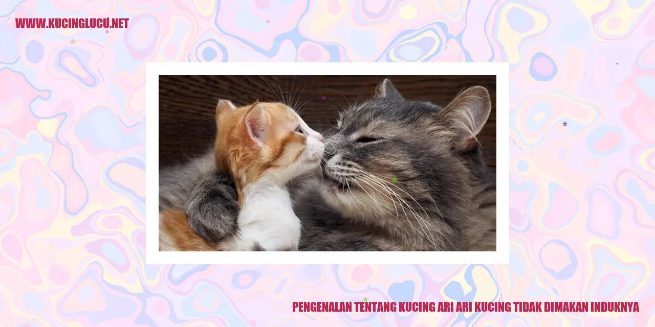 Gambar kucing ari