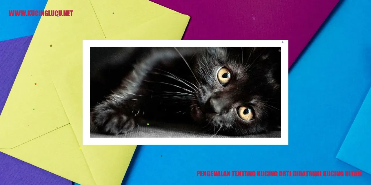 Kucing Hitam