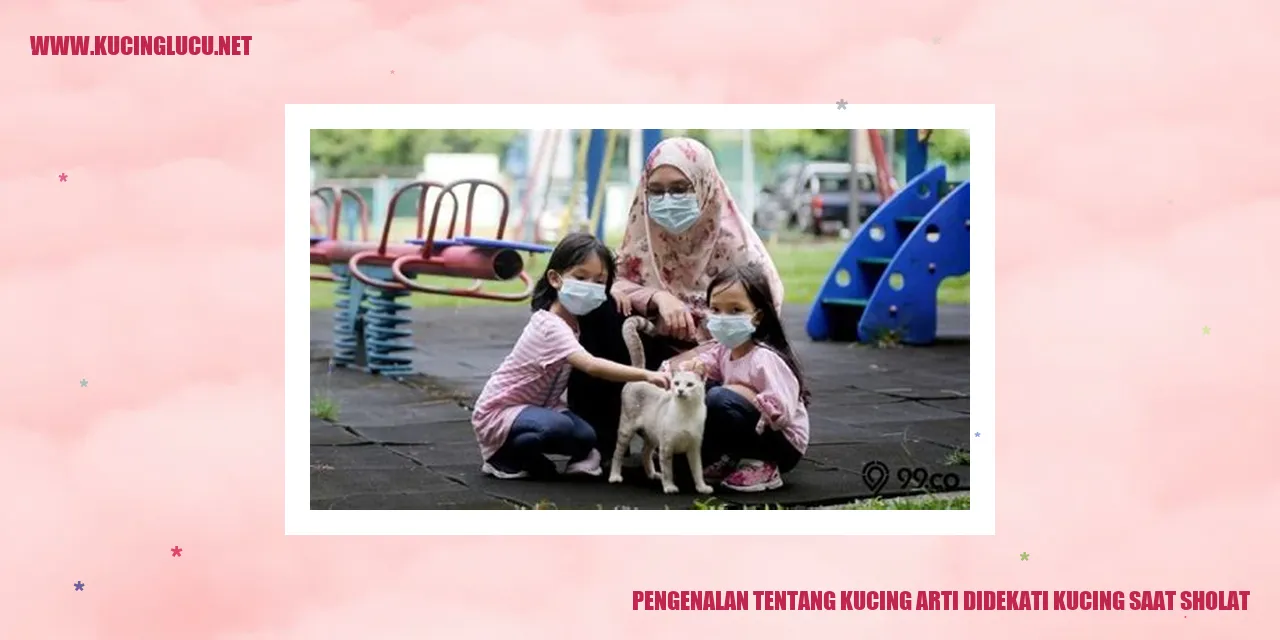 Gambar Lucu Kucing