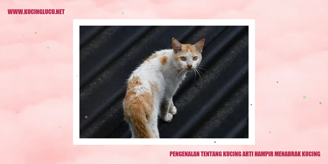 Ilustrasi Kucing