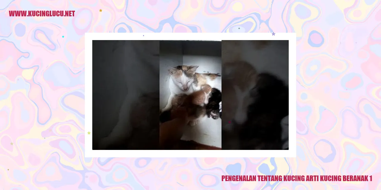 Potret Menggemaskan Seekor Kucing