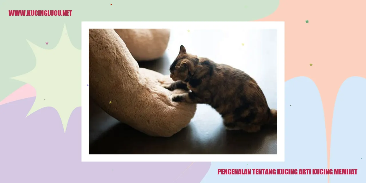 Kucing memijat