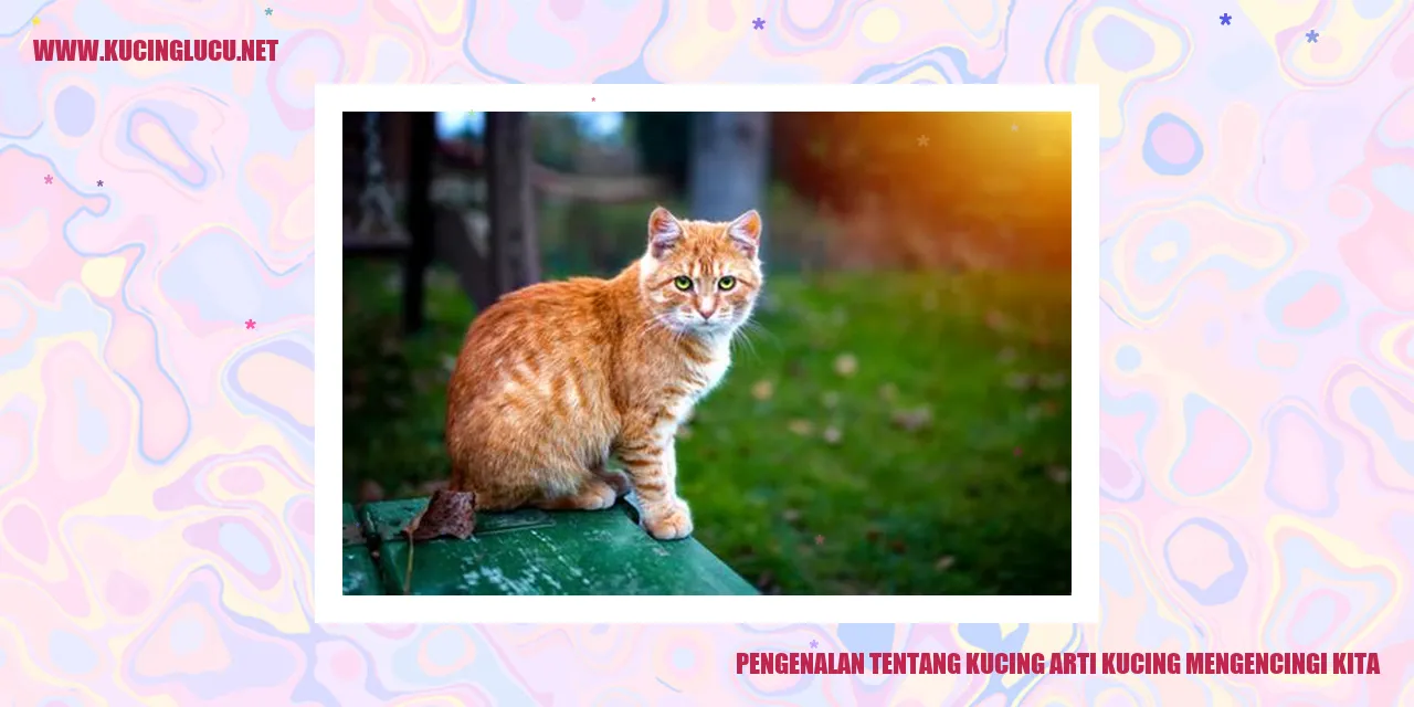 Pengenalan tentang Kucing arti kucing mengencingi kita