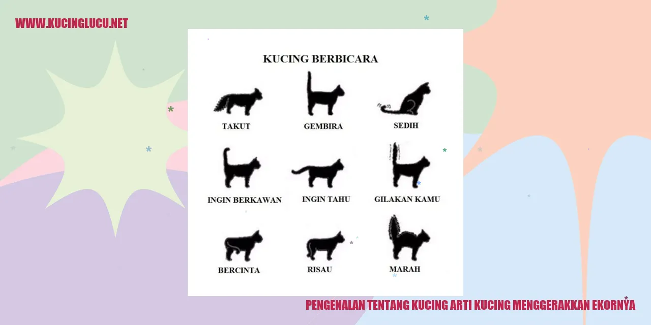 Kucing menggerakkan ekor