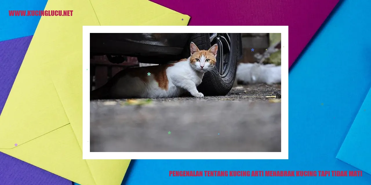 Kucing