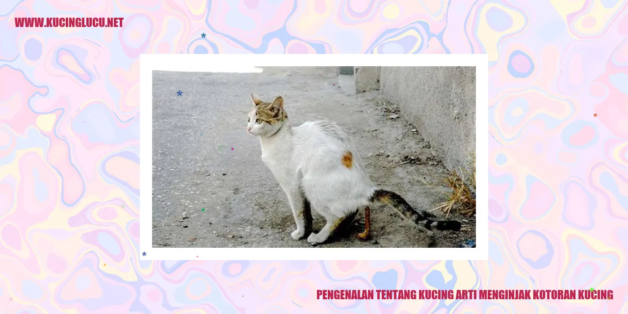Gambar Kucing