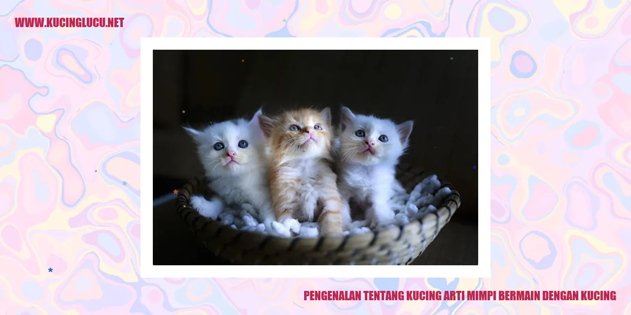 Ilustrasi kucing