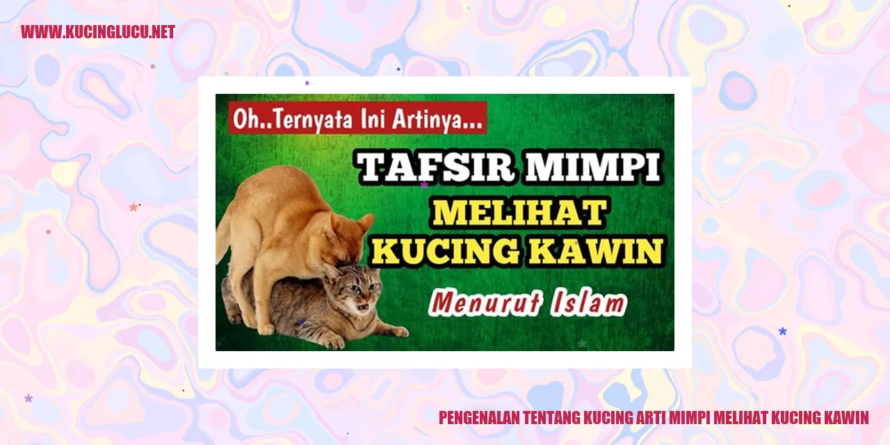 gambar kucing kawin
