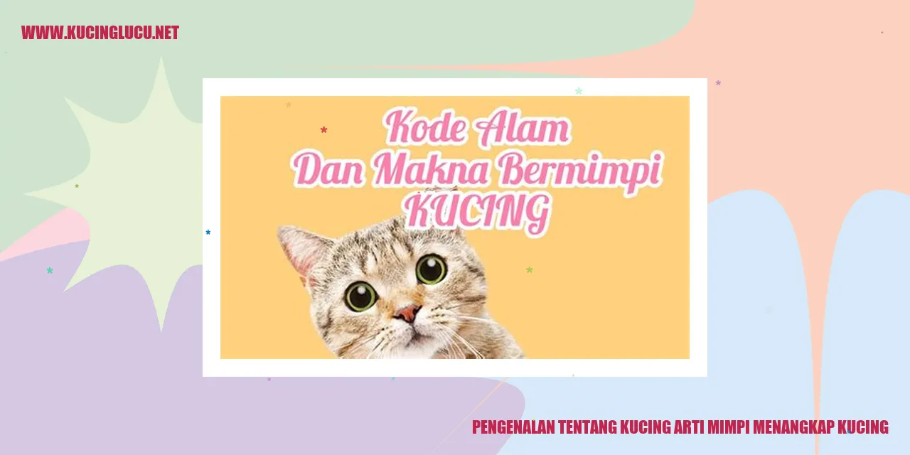 Foto Kucing