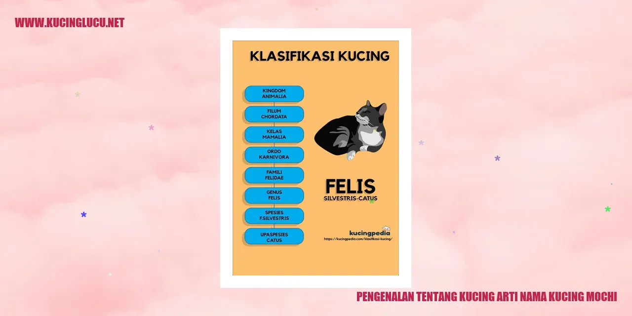 Kucing Mochi