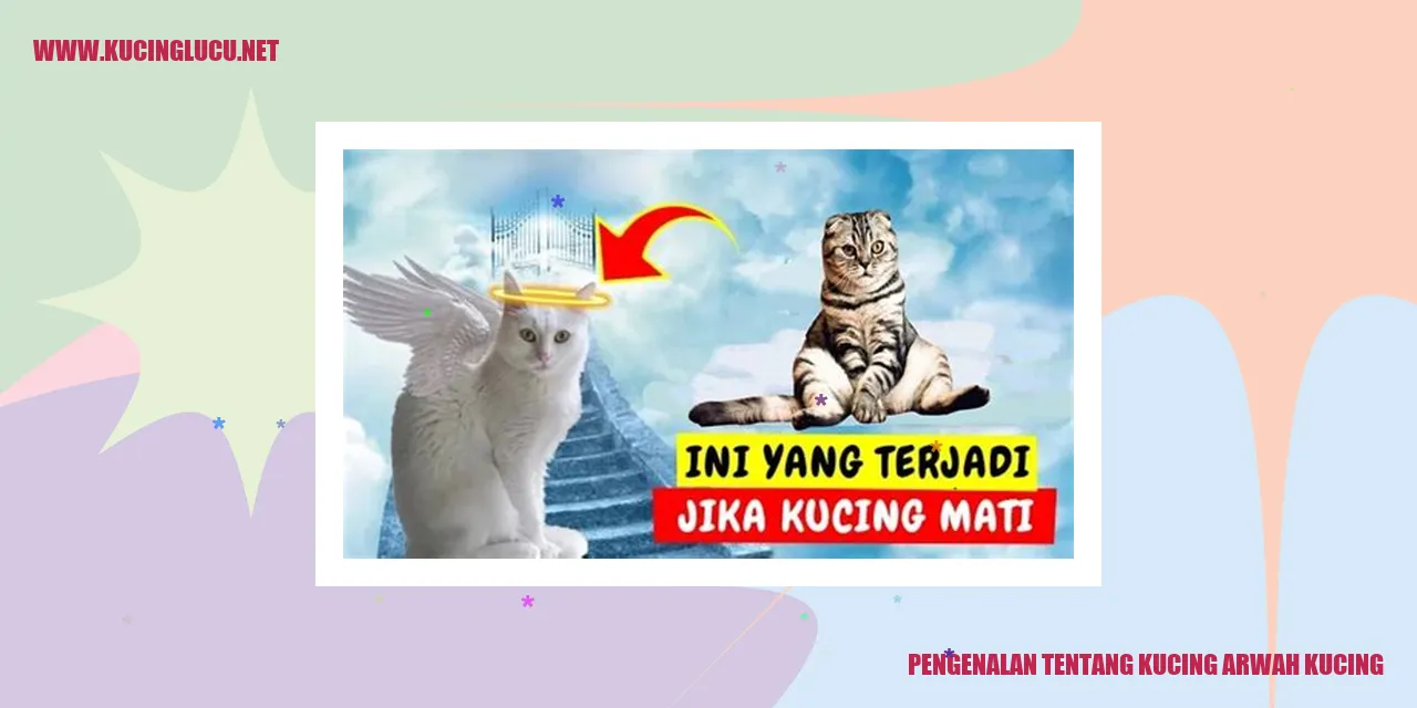 Kucing Arwah