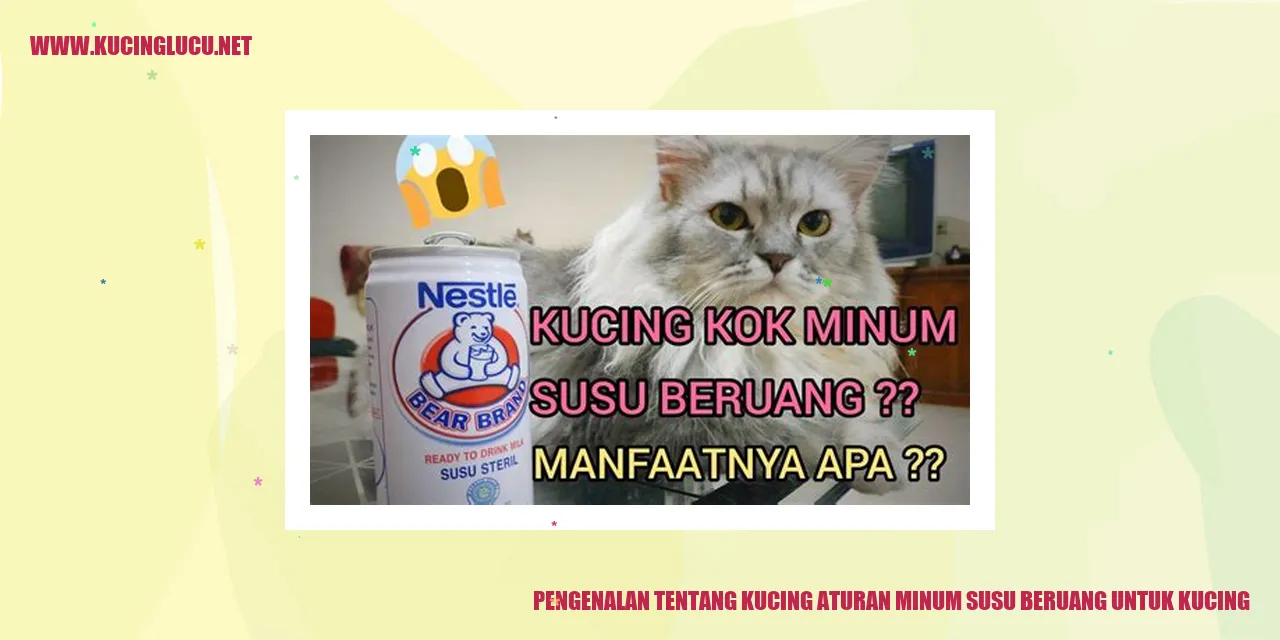 Gambar kucing menggemaskan