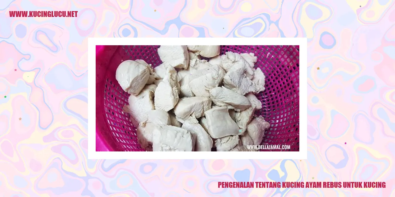 Gambar Kucing Ayam Rebus