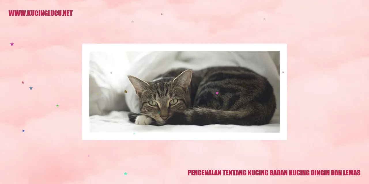 Gambar kucing yang menggemaskan